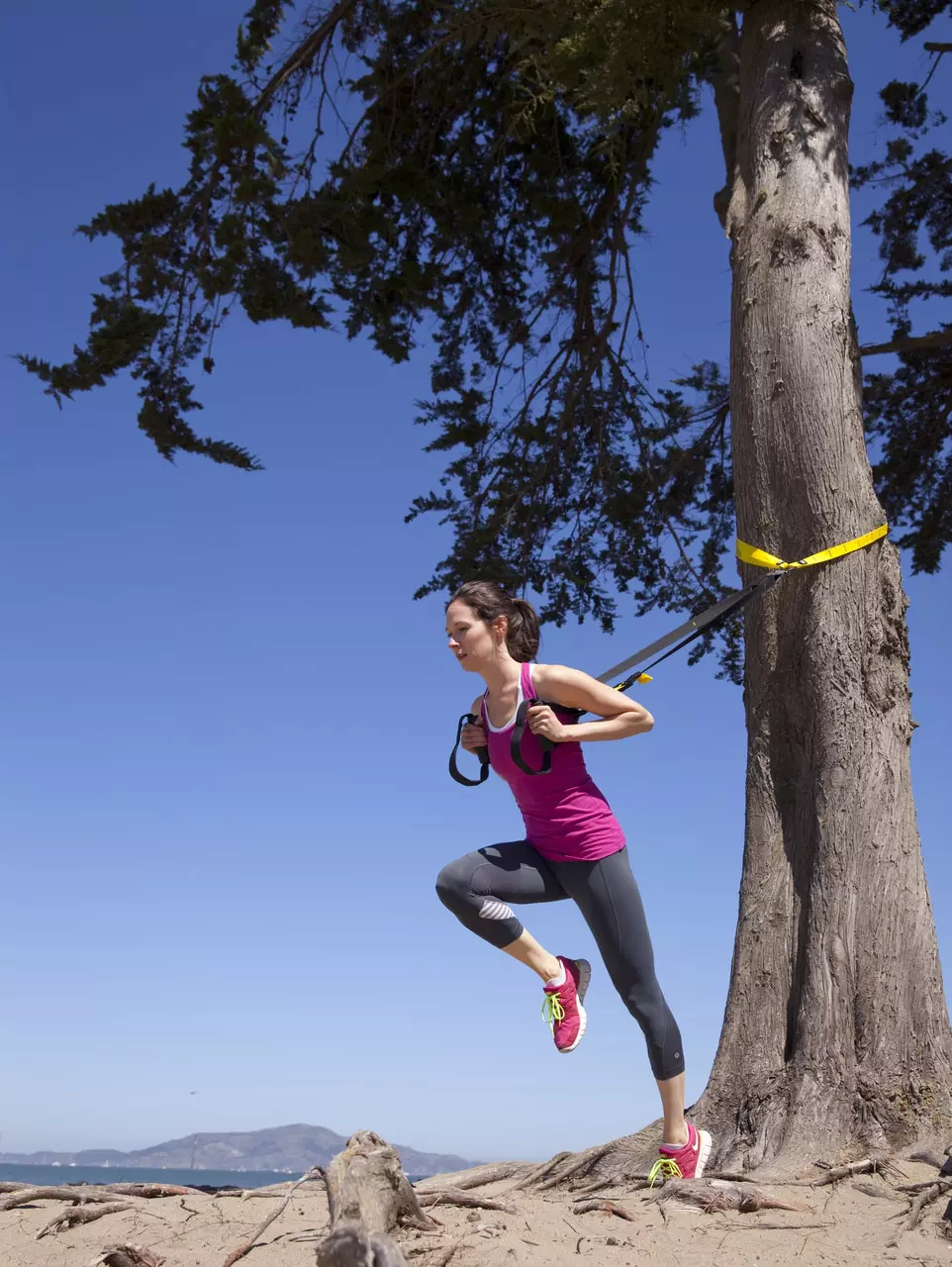 TRX Suspension Anchor - Image 2